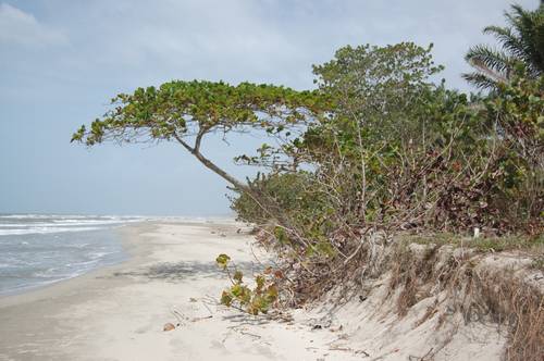 Bilder aus Honduras
